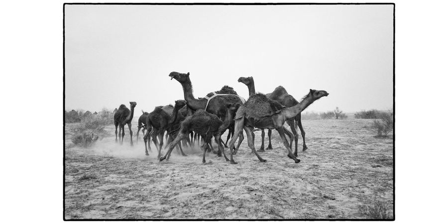 Arabia — pages 8–9